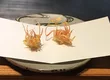 点邑 2